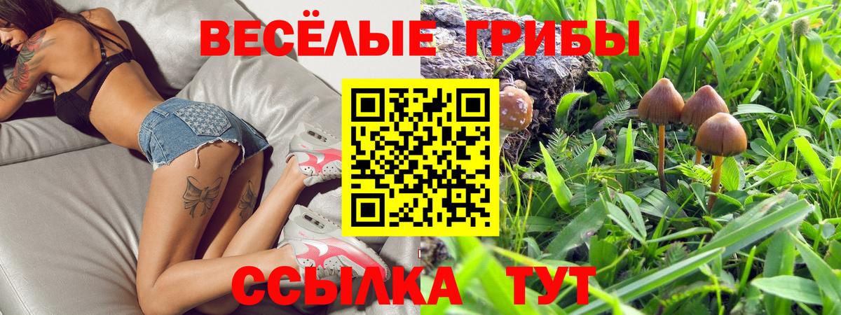 Альметьевск  Псилоцибиновые грибы ЛСД  закладка  Вход с VPN 